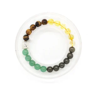 MoneyandAbundanceBracelet_869x869 money magnet bracelet