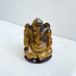 Photo15-09-20_111916AM_1200x1200 tiger eye ganesha