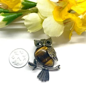 tiger eye keychain